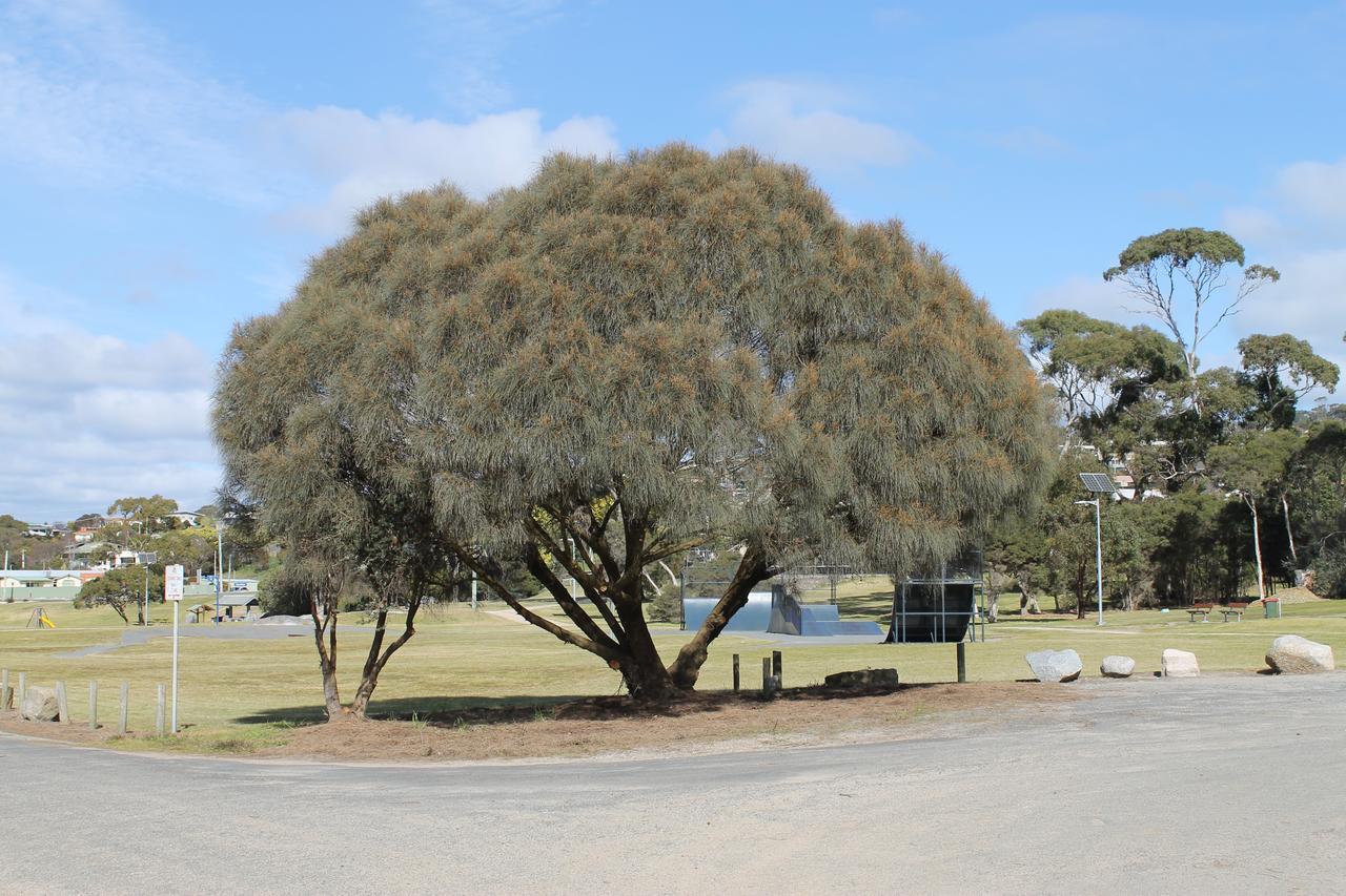 Bircoo Cottage Beach And Golf Getaway Bridport Buitenkant foto